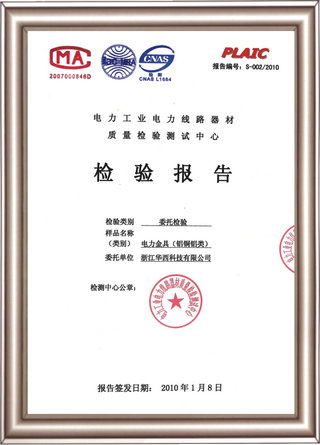 檢驗(yàn)報(bào)告