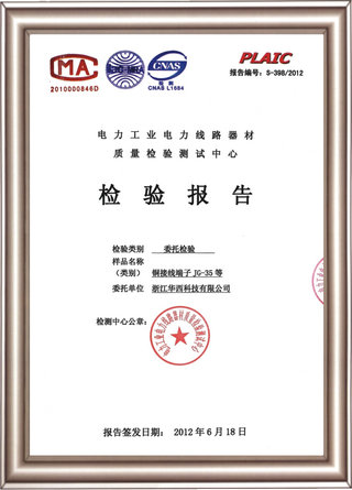 檢驗(yàn)報(bào)告